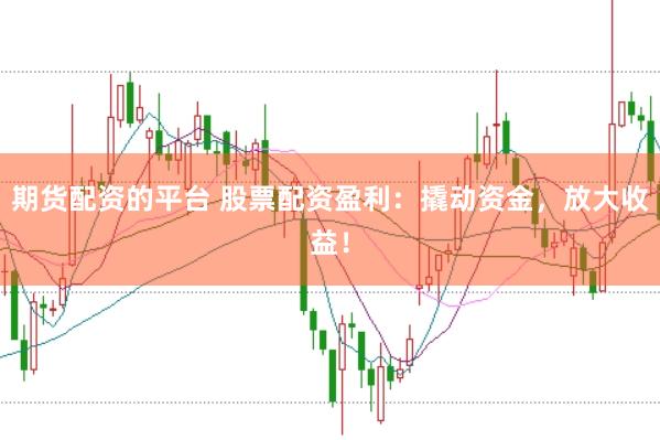 期貨配資的平臺(tái) 股票配資盈利：撬動(dòng)資金，放大收益！