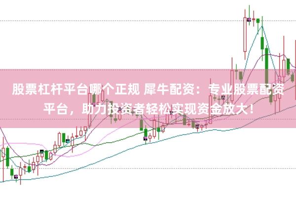 股票杠桿平臺(tái)哪個(gè)正規(guī) 犀牛配資：專(zhuān)業(yè)股票配資平臺(tái)，助力投資者輕松實(shí)現(xiàn)資金放大！